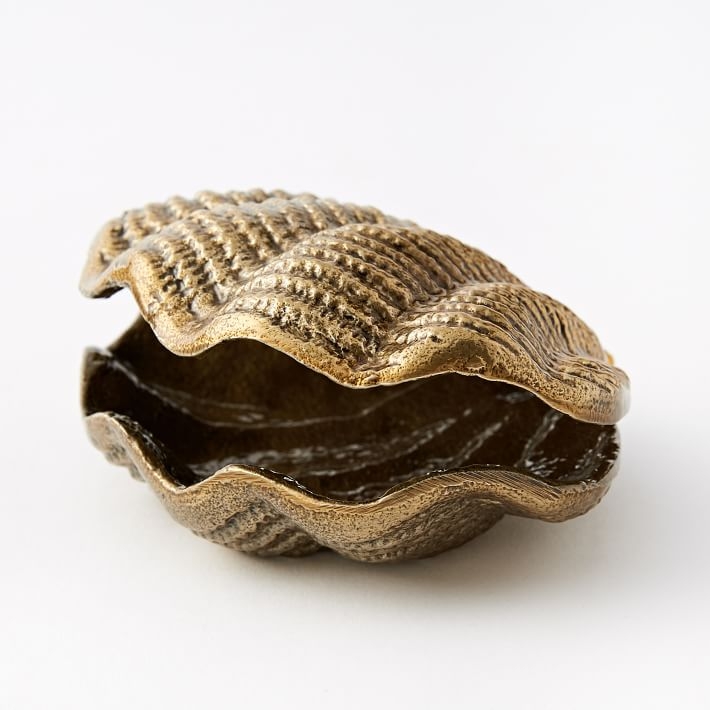 Clam Shell Object - Image 0