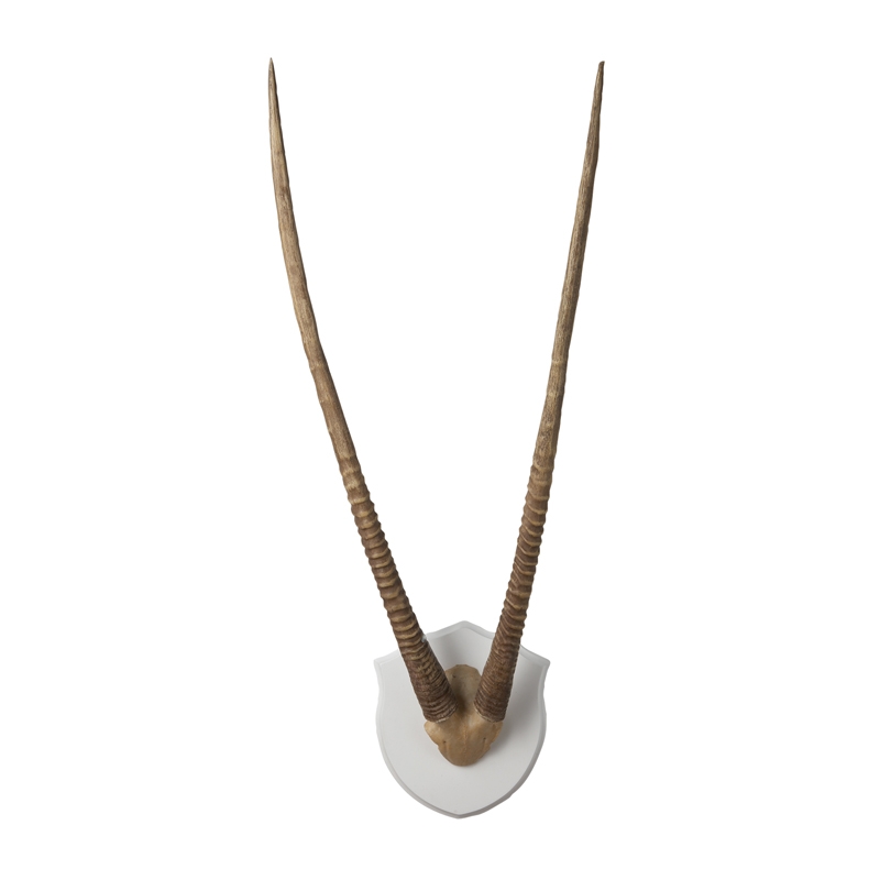 Gazelle Horns Ecru Wood Plaque - Image 0