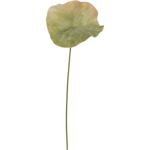 Lotus leaf 33" - Image 0