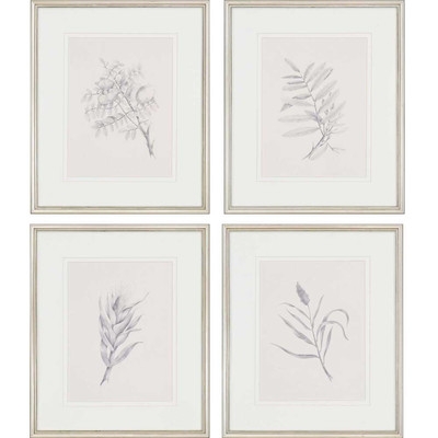 Foliage by Mendez 4 Piece Framed Graphic Art Set by Paragon - Image 0