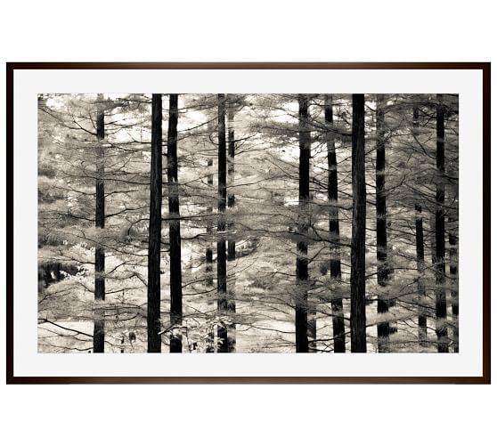 Into the Woods Framed Print by Ana V. Ramirez- 42" x 28"- Framed - Image 0