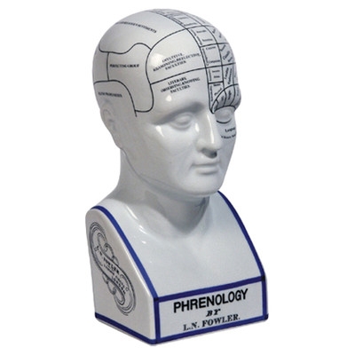 Phrenology Head Bust - Image 0