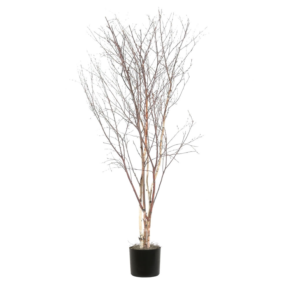 Winter Birch Deluxe Tree in Pot - Image 0