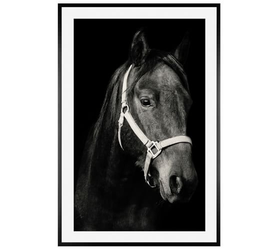 Dark Horse - 28x42, Framed - Image 0