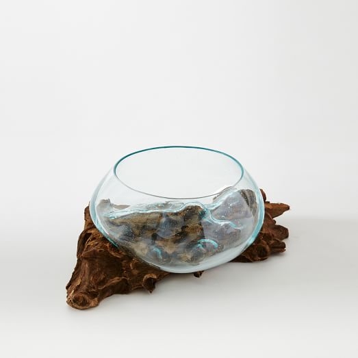 Wood + Glass Terrariums - Small - Short - Image 0