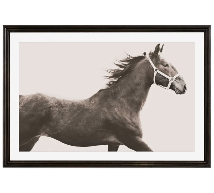 Vintage Horse - 42x28, Framed - Image 0