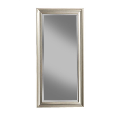 Full Length Leaning Mirror - Champagne Silver - Image 0