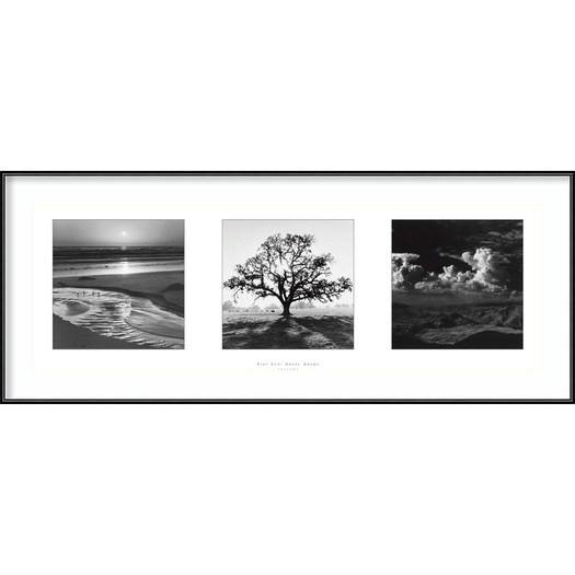 Fiat Lux- Trilogy' by Ansel Adams Framed Photographic Print - 14.01" H x 36.13" W x 0.75" D - Image 0