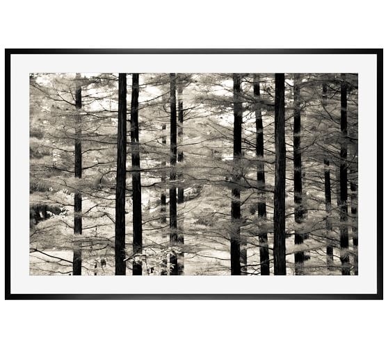 Into the Woods Print -  28 x 42 - Mat - Wood Gallery Frame - Image 0