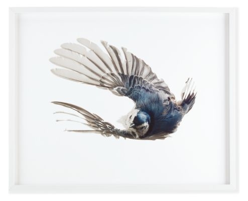 Paul Nelson, Nuthatch, 2011 - 30" x 24" - Framed - Image 0