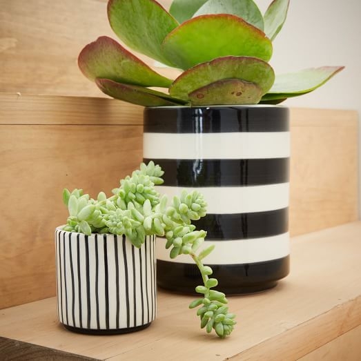 Striped Cache Pots - 3.5" - Image 0
