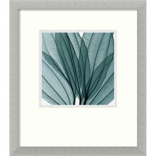 'Leaf Bouquet' by Steven N. Meyers Framed Photographic Print - 16.68" H x 14.68" W x 0.5" D - Image 0