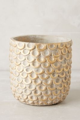 Gilded Scalloped Pot - Image 0