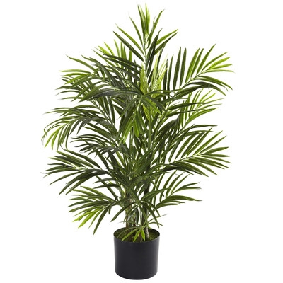 Areca Palm Tree Floor Plant in Pot- 42" - Image 0