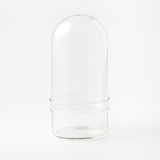 Glass Cloche Terrarium, Round Base, Tall - Image 0