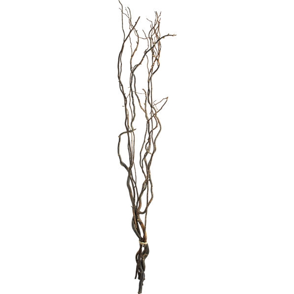 curly willow branches - Image 0