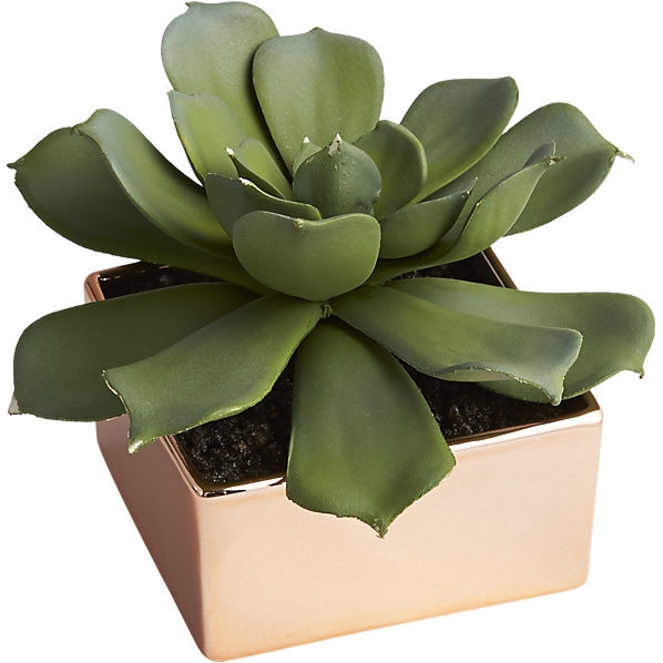 Potted succulent with copper pot - Image 0