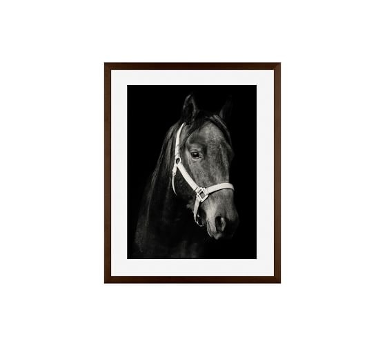 Dark Horse - 16x20, Framed - Image 0