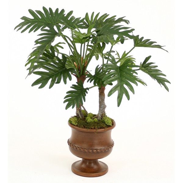 Silk Philodendron Selloum Floor Plant in Urn - Image 0