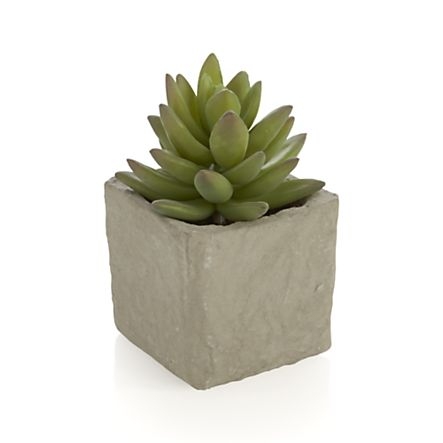 Potted Artificial Medium Succulent - Image 0