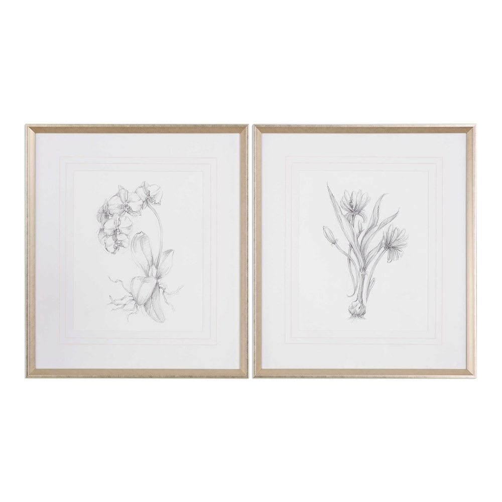 Botanical Sketches, 28" x 32", Set of 2 - Image 0