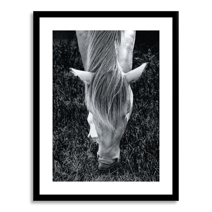 Mystery Horse - 20x26 - Framed - Image 0