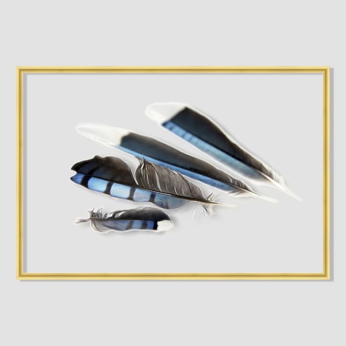 Still Acrylic Wall Art - Blue Jay Feathers -  24"w x 16"h.- Framed - Image 0