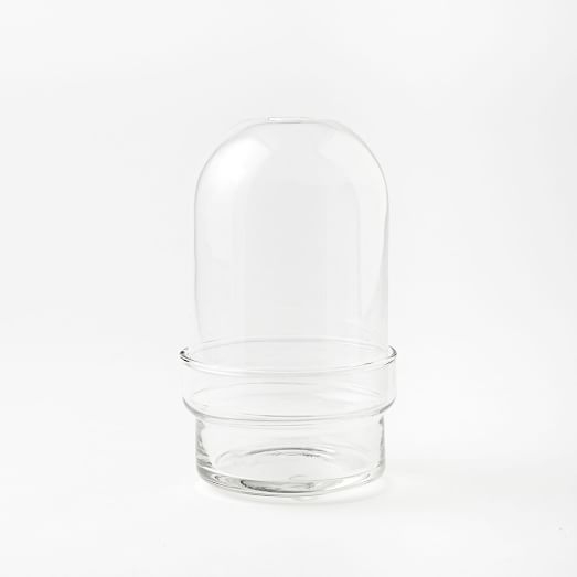 Glass Cloche Terrarium, Round Base, Short - Image 0