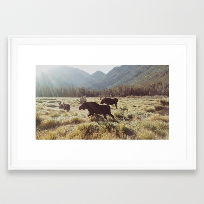 Three Meadow Moose - FRAMED ART PRINT/SCOOP WHITE SMALL (21" X 15") - Image 0