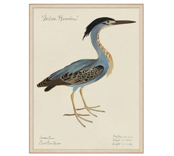 Seabird Collection Print (Distressed off white finish Frame) - Image 0