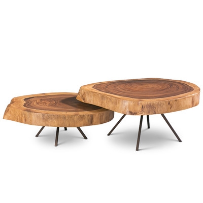Ie Series 2 Piece Nesting Coffee Tables - Image 0