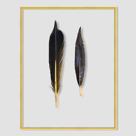 Still Acrylic Wall Art - Feathers -  Flicker Feather And Willow Leaf - Image 0