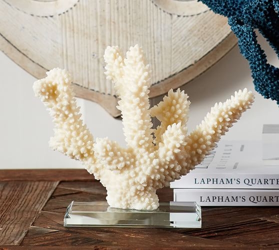 Glass Based Coral Stand, White - Image 0