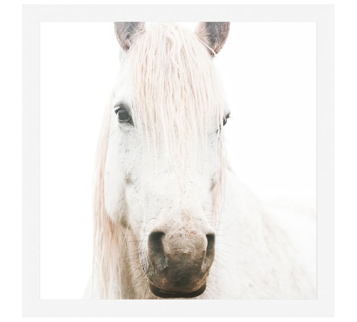 WHITE ON WHITE HORSE FRAMED PRINT BY JENNIFER MEYERS - 48" x 48" - FRAMED - Image 0