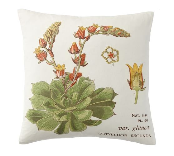 Succulent Embroidered Pillow Covers - Image 0