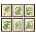 Ferns 6 Piece Framed Painting Print Setby Napa Home & Garden - Image 0