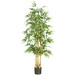 Bamboo Tree in Pot - Image 0