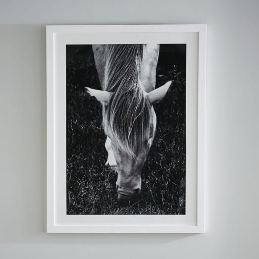 Mystery Horse - 20"w x 26"l - Framed - Image 0