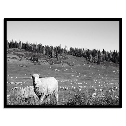 Minted for west elm - Mountain Herd-Framed print. - Image 0
