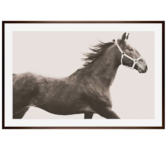 Vintage Horse Framed Print by Jennifer Meyers - Image 0
