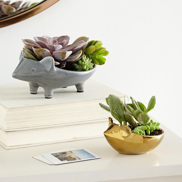 Ceramic Animal Planters - Mouse & Hedgehog (One of each) - Image 0