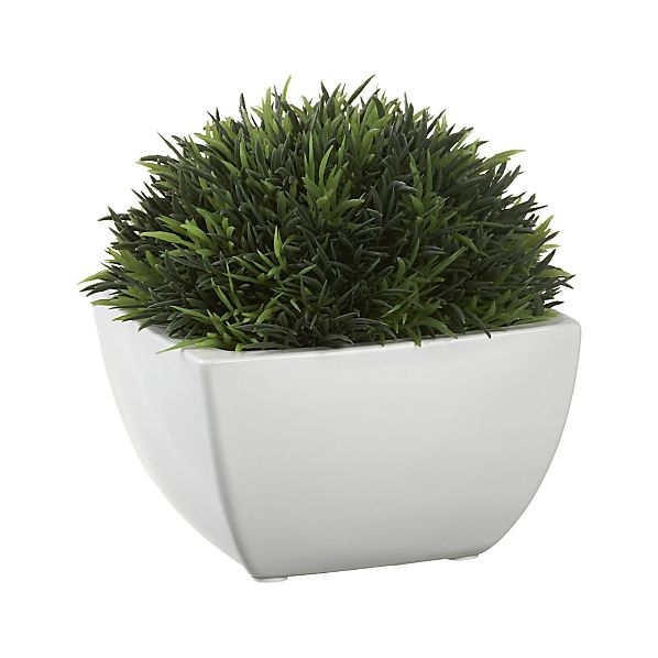 Potted Artificial Moss - Image 0