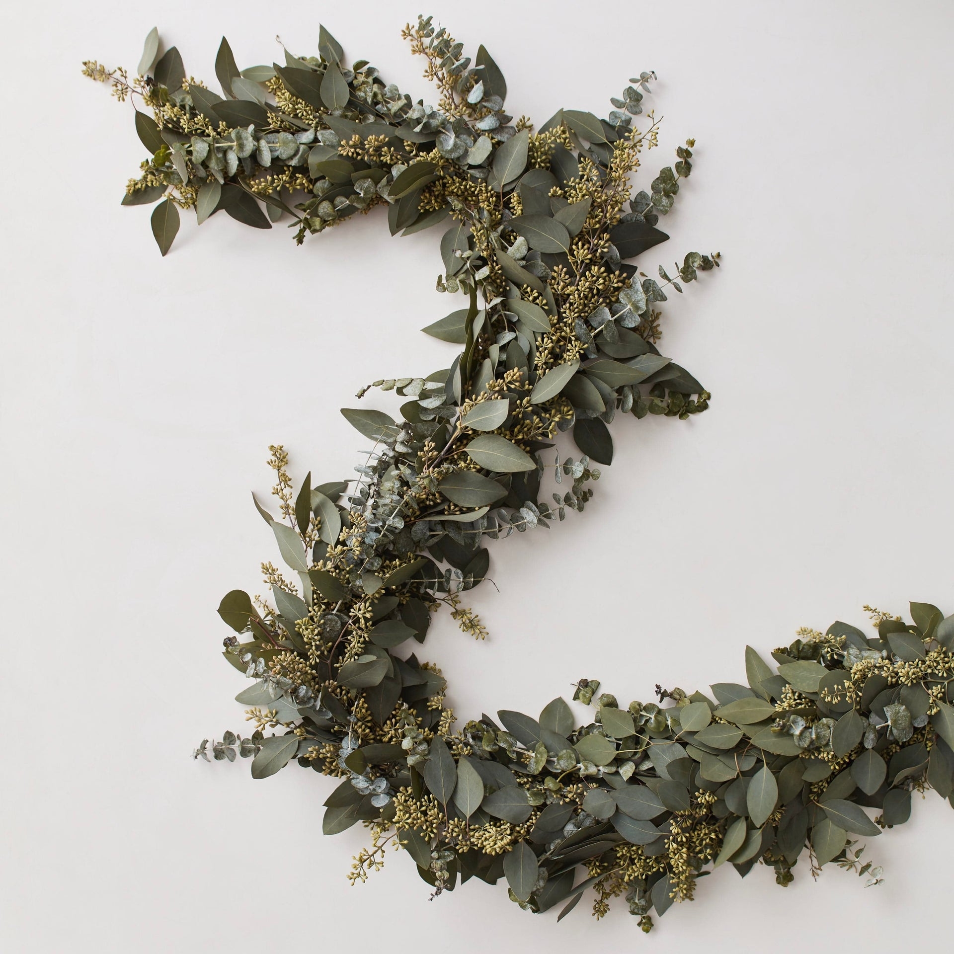 The Citizenry Fresh Eucalyptus Garland 6ft | Natural - Image 0