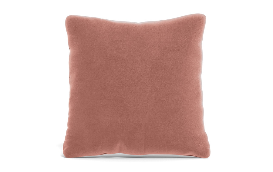 Throw Pillow 22 x 22" Square" - Image 0