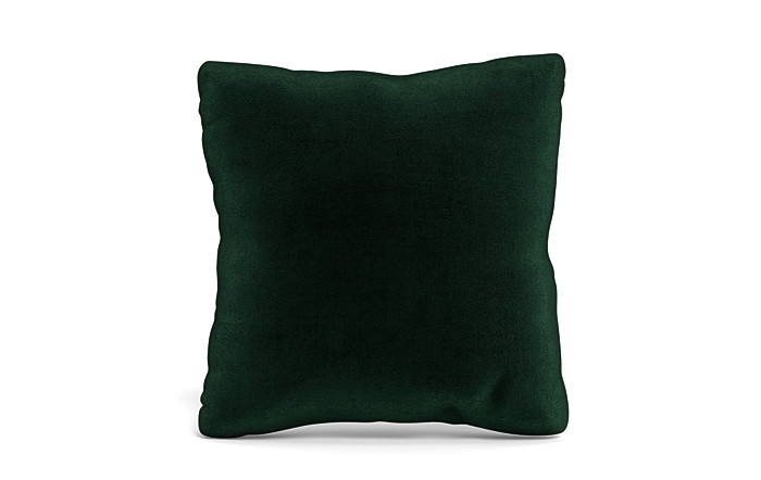 Throw Pillow 20 x 20" Square" - Image 0
