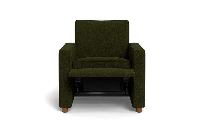 Sadie Recliner - Image 0