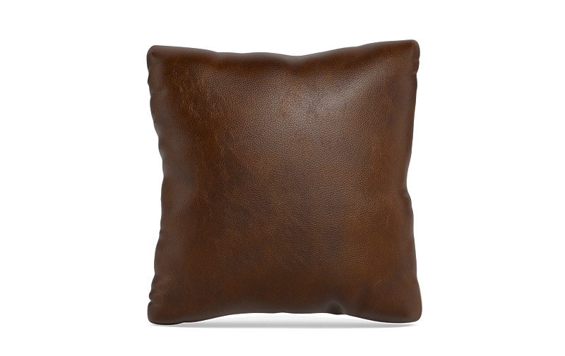 Throw Pillow 20 x 20" Square" - Image 0
