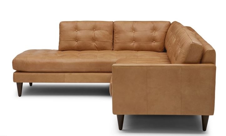 Eliot Leather Sectional with Bumper (2 piece) Left Orientation - Image 1