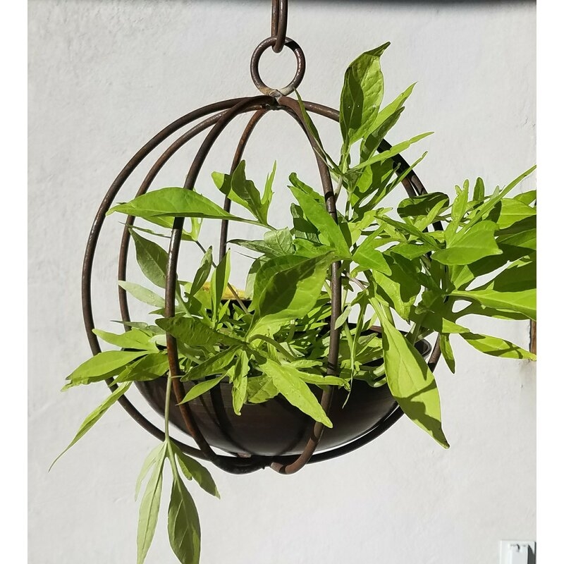 Handmade Globe Copper and Steel Hanging Planter - Image 0