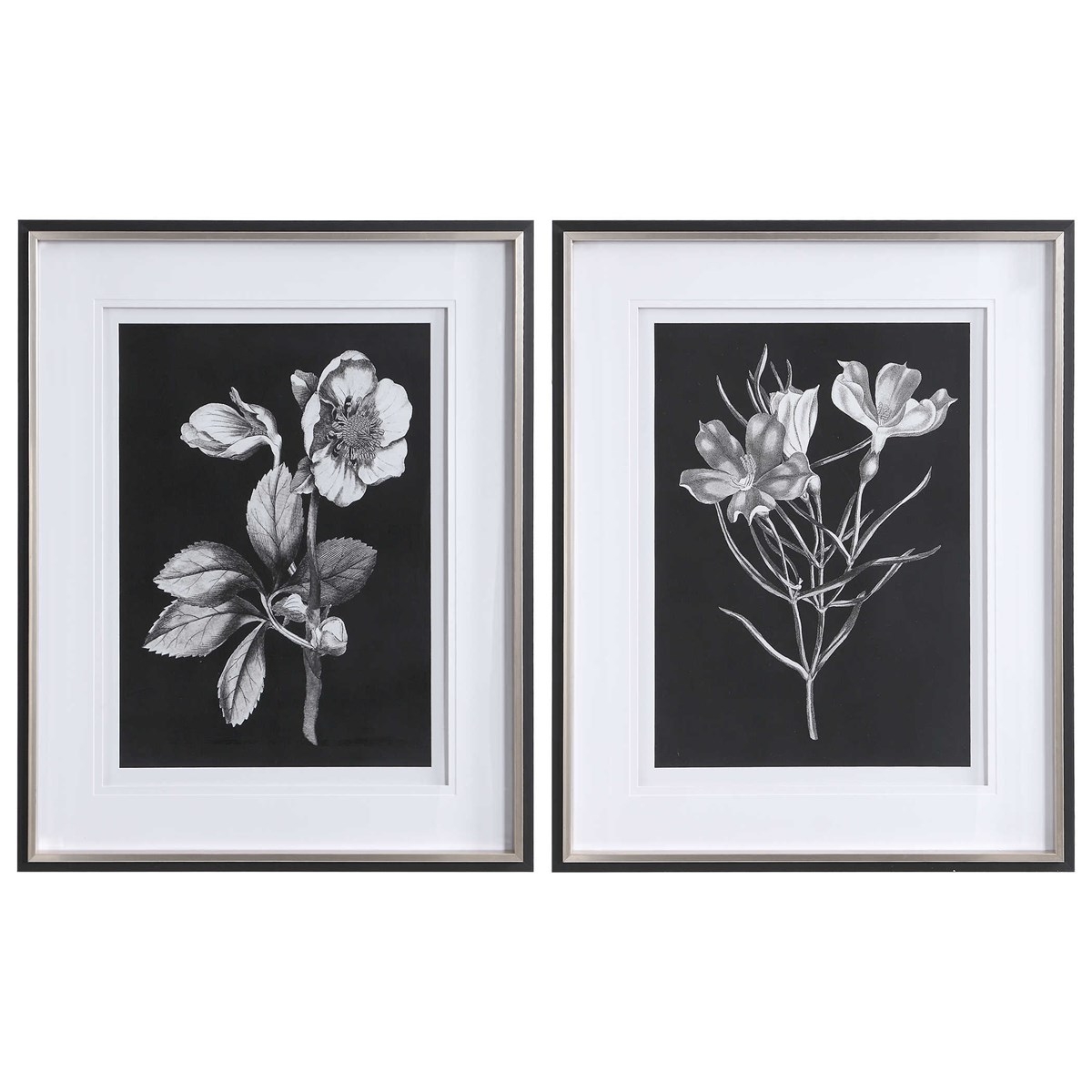 BLACK & WHITE FLOWERS FRAMED PRINTS, S/2 - Image 0